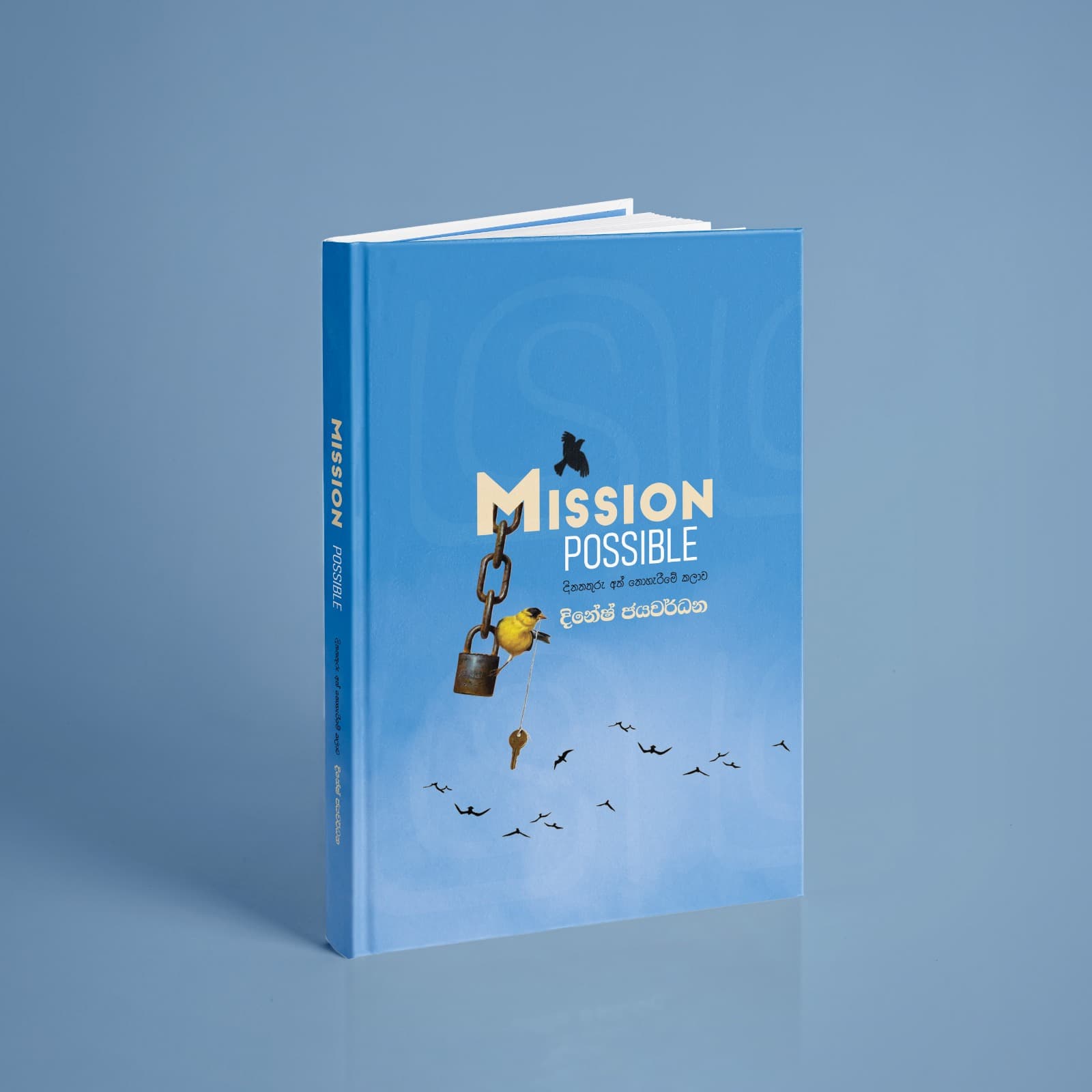 Mission Possible book cover